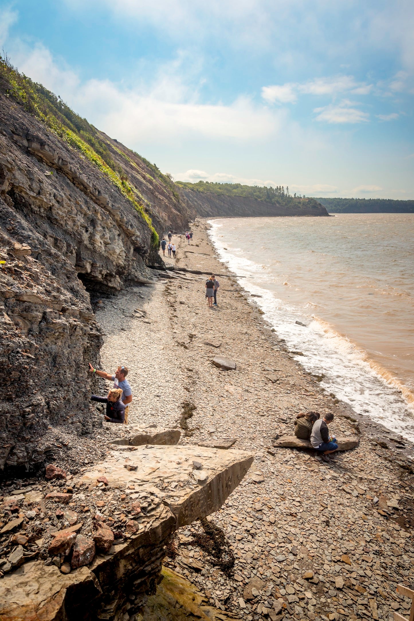 Ocean Floor Fossil Tour - 1.5 hr.