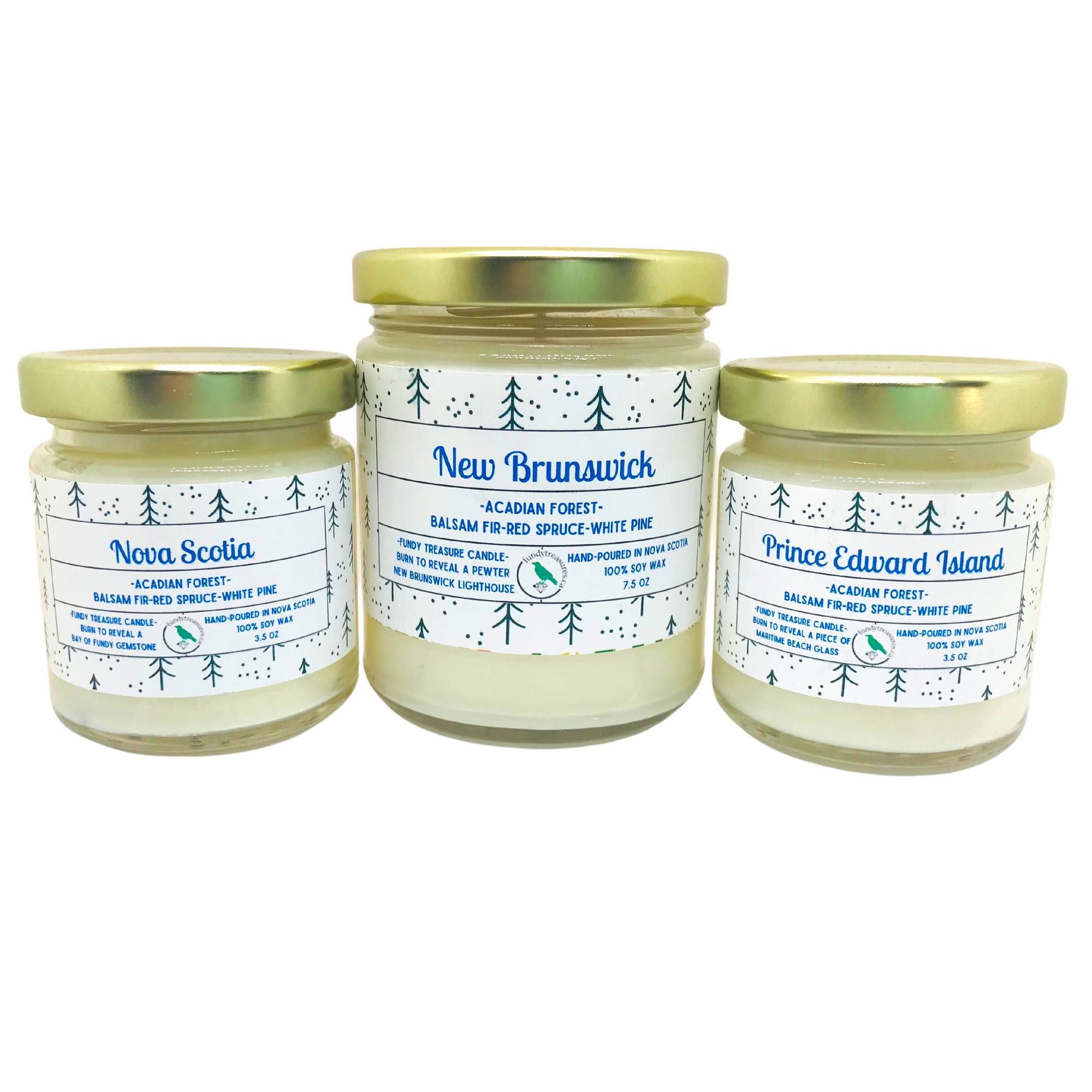Coastal Charm Candle Collection 3.5 oz