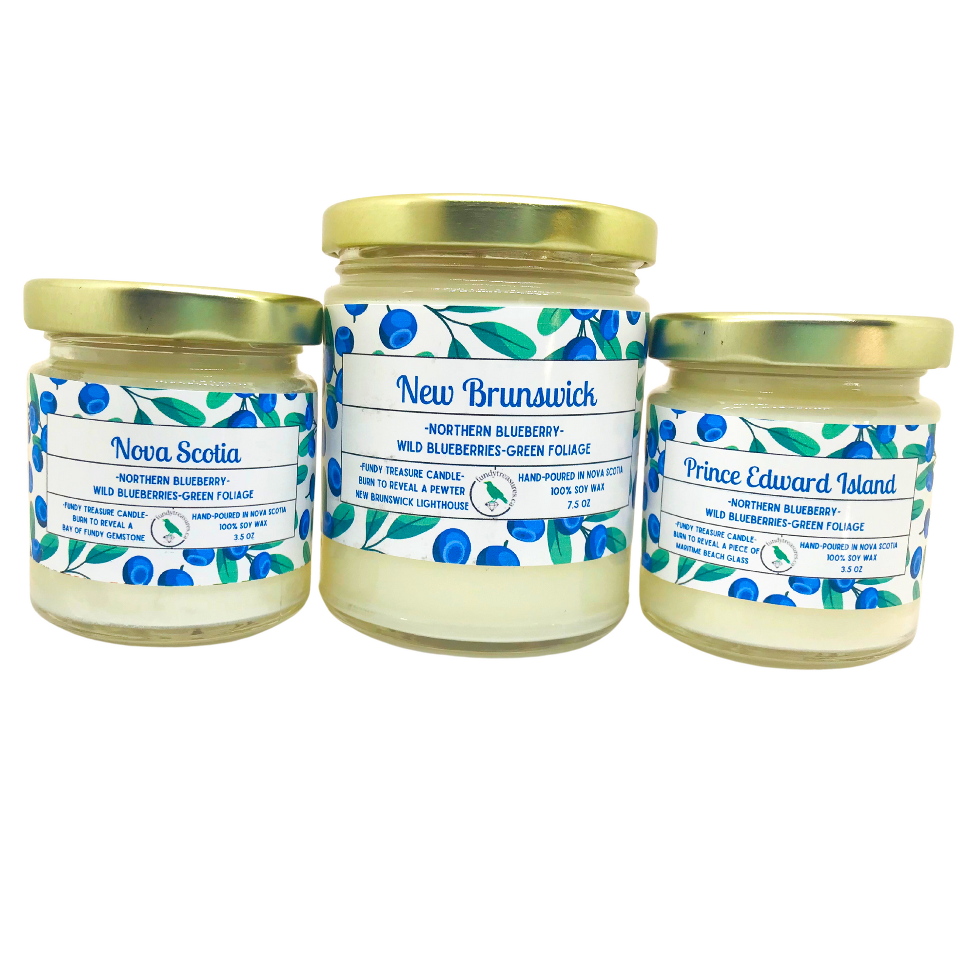 Coastal Charm Candle Collection 3.5 oz