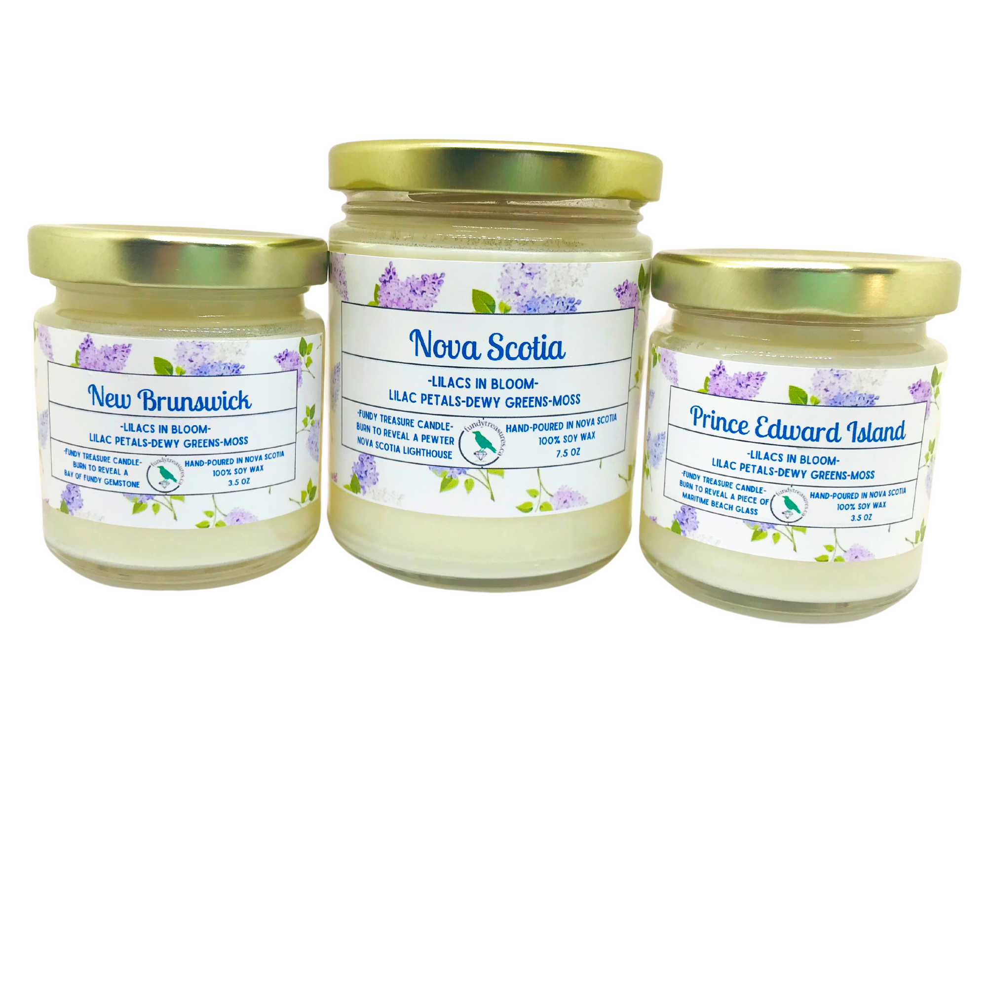 Coastal Charm Candle Collection 3.5 oz