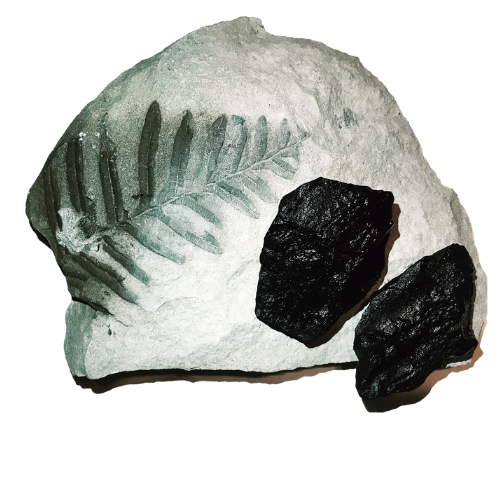 Nova Scotia Coal Soap